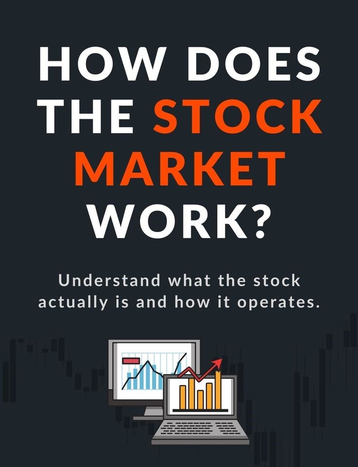 How Does the Indian Stock Market Work?